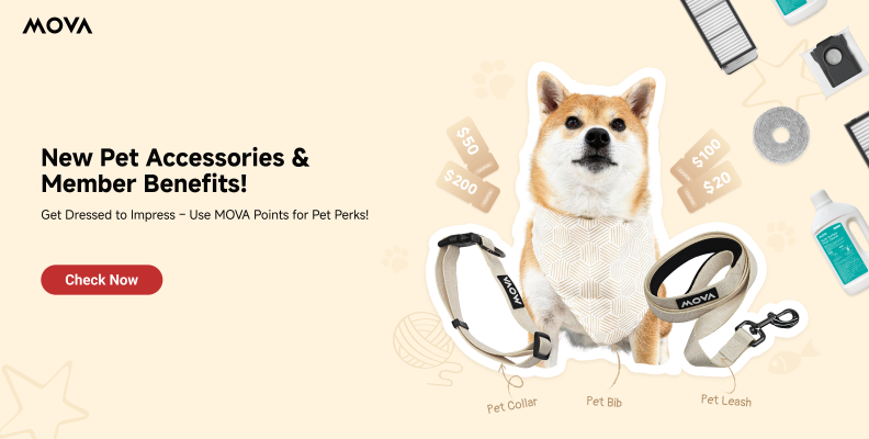 🎉🐾 Exciting News! New Pets Accesso