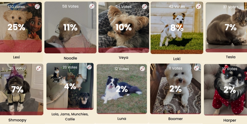 🐱MOVA Pet Stars 🐕Winners Announced